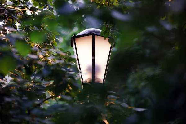 Pouliční lampa v parku — Stock fotografie