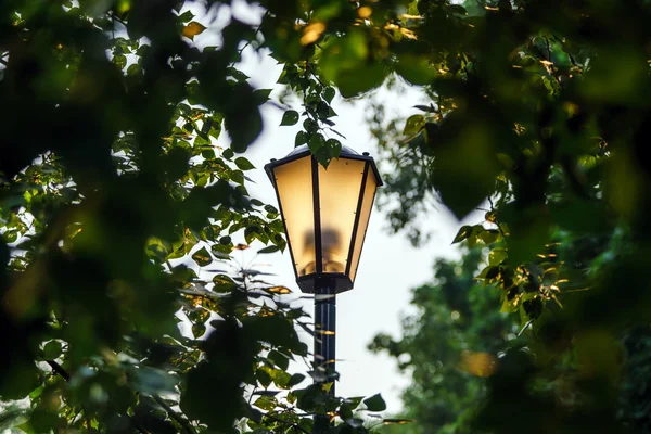 Lampa uliczna w parku — Zdjęcie stockowe