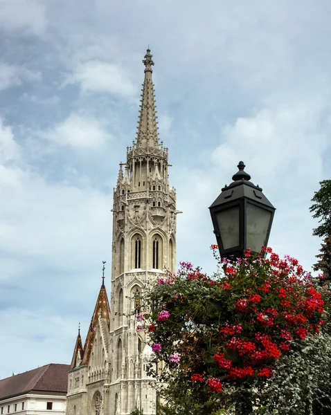 ブダ城、ブダペスト、ハンガリーのゴシック様式の大聖堂 — ストック写真