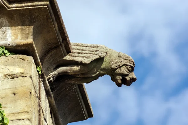 Chrlič sculture na středověké katedrály. Mirepoix. — Stock fotografie