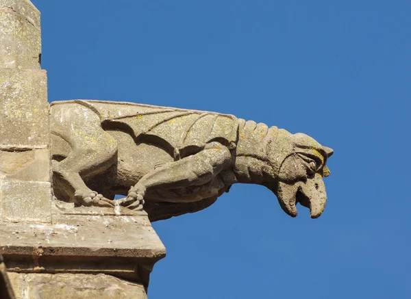 Gargoyle sculture on medieval cathedral. Mirepoix. — Stock Photo, Image