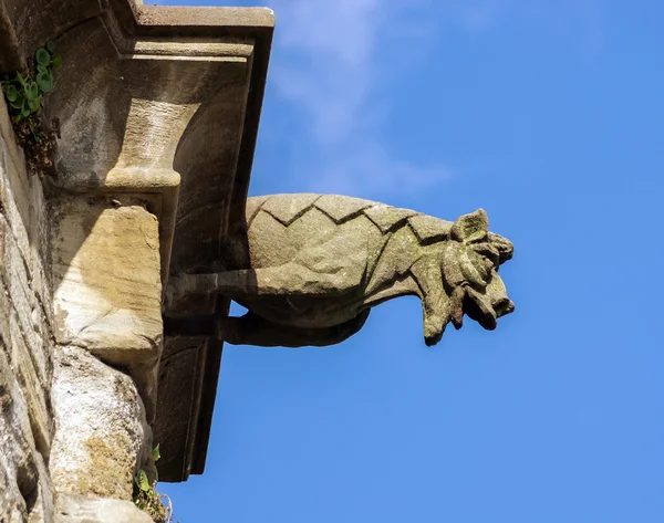 Gargoyle sculture on medieval cathedral. Mirepoix. — Stock Photo, Image