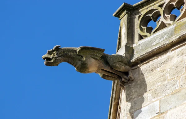 Chrlič sculture na středověké katedrály. Mirepoix. — Stock fotografie