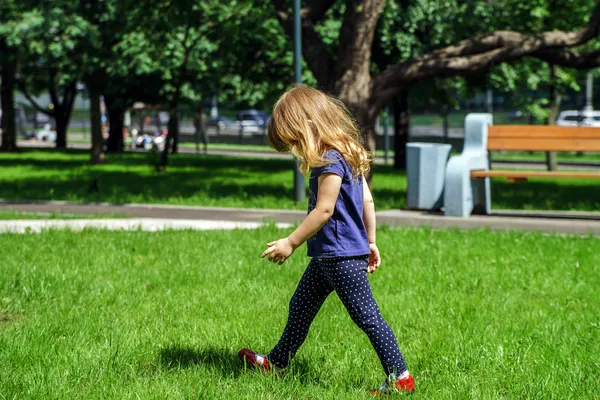 Sevimli küçük kız yeşil çimenlerin üzerinde yürüyüş — Stok fotoğraf