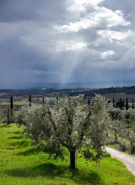 Ciel orageux sur champ vert — Photo