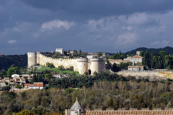 Gamla medeltida slott i avignon, Frankrike. — Stockfoto