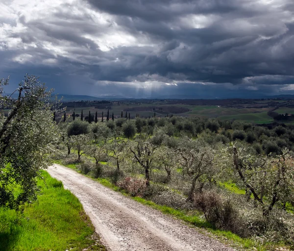 Ciel orageux sur champ vert — Photo