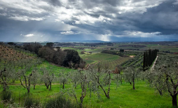 Ciel orageux sur champ vert — Photo