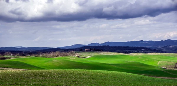 Beautiful green hills in Tuscany — Stock Photo, Image