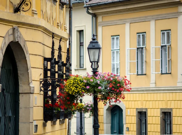 ブダペスト （ハンガリーの旧式な鉄街灯). — ストック写真