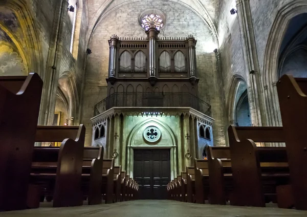 Catholic cathedral interior. Salon de Provence. — Stock Photo, Image