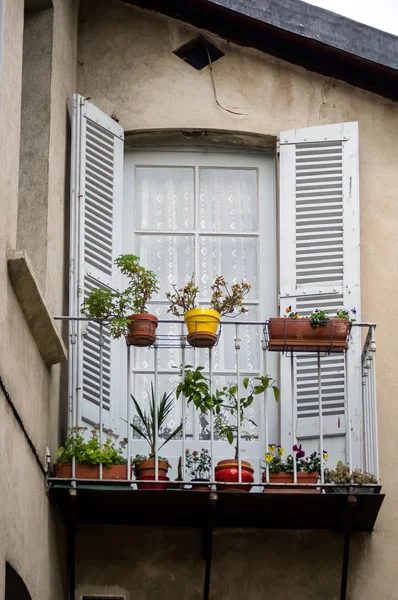 古典的な装飾の花を持つフランス窓 — ストック写真