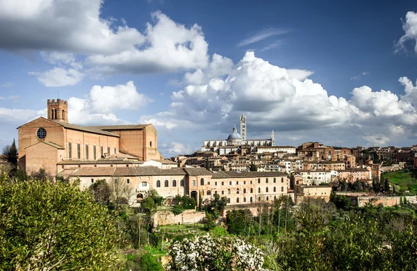 Panoramisch uitzicht op Siena — Stockfoto