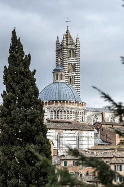 Centrale kathedraal van Siena — Stockfoto