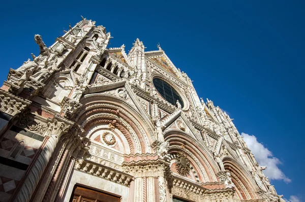 Catedral central de Siena — Foto de Stock