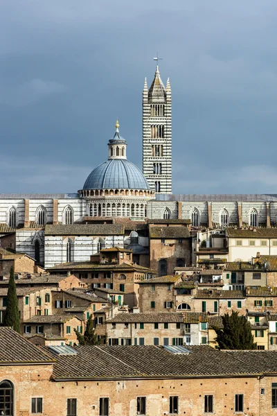 Catedral central de Siena — Foto de Stock