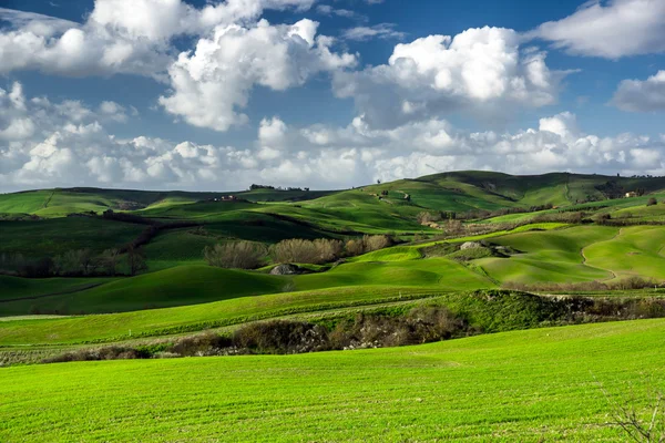 Красивих зелених пагорбів в Тоскані — стокове фото
