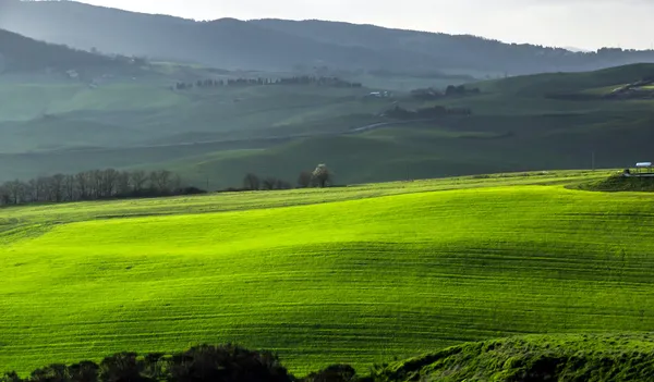 Belas colinas verdes na Toscana — Fotografia de Stock