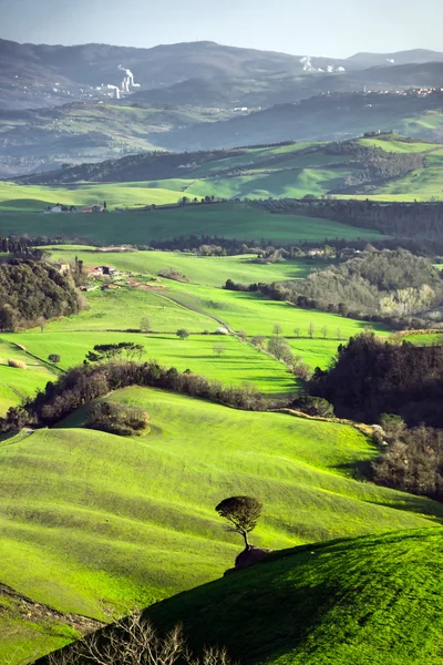Piękne zielone wzgórza w Toskanii — Zdjęcie stockowe