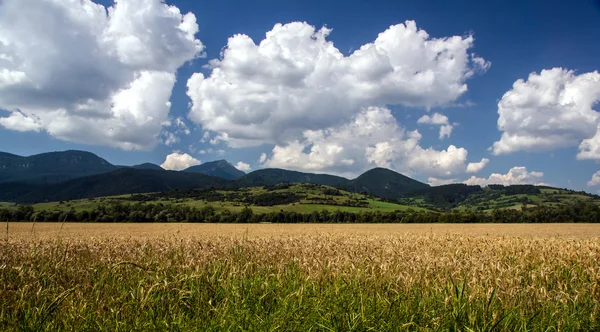 Hermoso paisaje con montañas en Eslovaquia — Foto de Stock