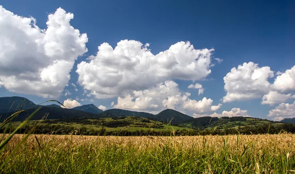 Hermoso paisaje con montañas en Eslovaquia — Foto de Stock