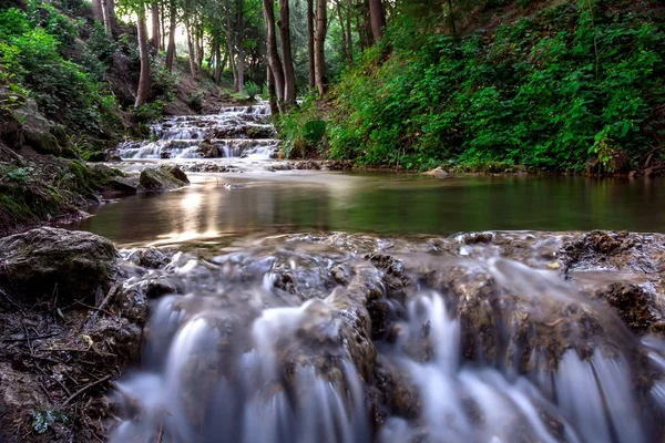 Small waterfall on forest river — Stock Photo, Image