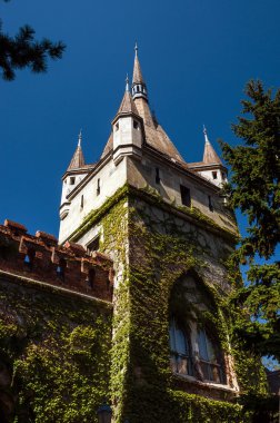 Budapeşte, Macaristan'ın tarihi kalede kopyası.
