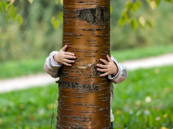 Holčička schovat za strom — Stock fotografie