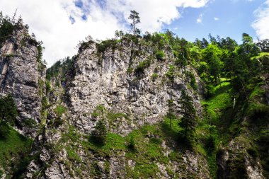 güzel alps kayalarda