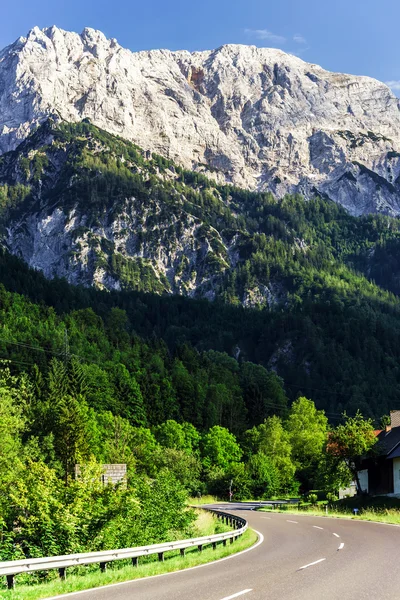 Mooie stenen in Alpen — Stockfoto