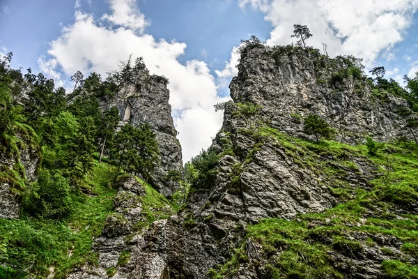 Schöne Felsen in den Alpen — Stockfoto