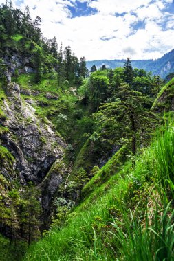yüksek dağlarda arka tatil