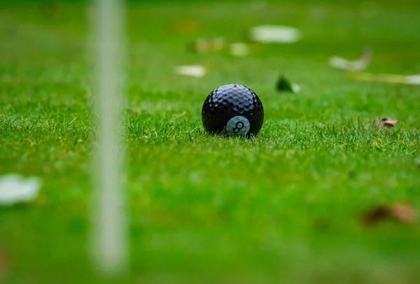 Boules Golf Multicolores Sur Herbe Verte Club Golf Sports Loisirs — Photo