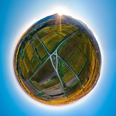 Vosges 'deki çok renkli bir vadiden bir dron yükseliyor. Sarı, turuncu, kırmızı ağaçlar. Çok renkli sonbahar üzüm bağları. Güneşli tepeler.