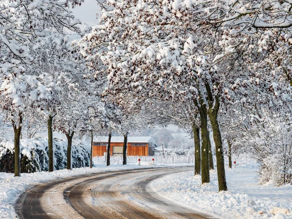 Kış Masalı Alsace Karla Kaplı Temiz Aydınlık Manzarası Fransa — Stok fotoğraf