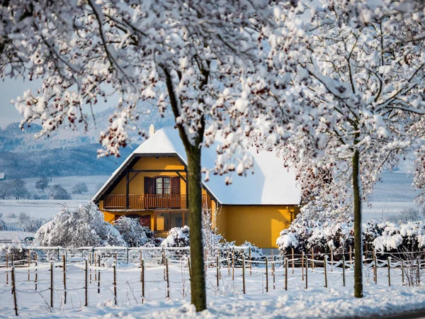 Winter Tale Snow Covered Clean Light Landscape Alsace France — Stock Photo, Image