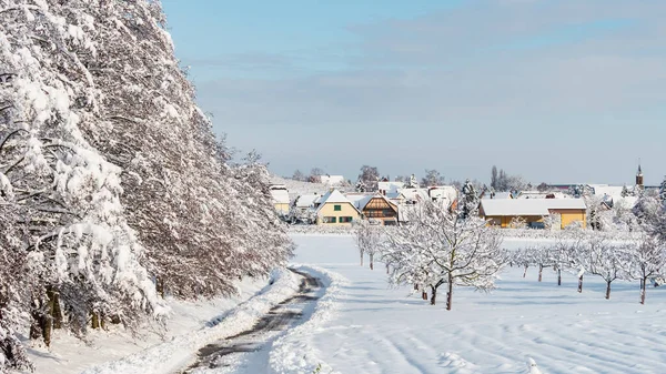 Winter Tale Snow Covered Clean Light Landscape Alsace France — Stockfoto