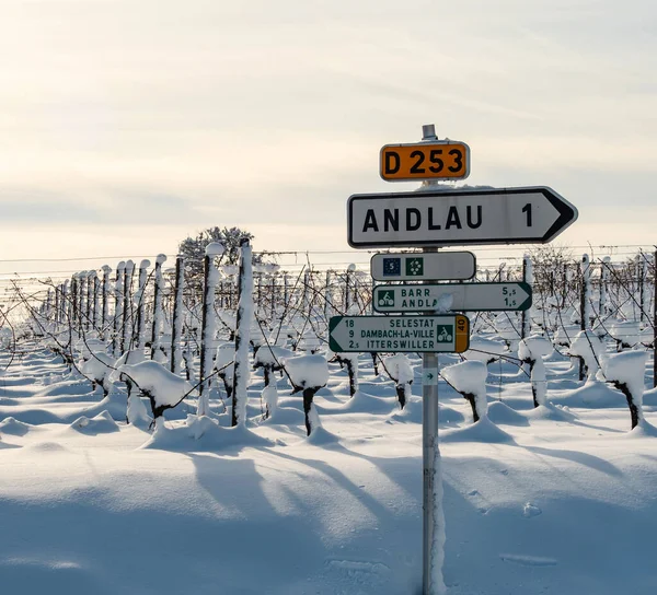 晴れた冬の日には大雪の下でブドウ畑もあります 詳細とトップビュー フランス — ストック写真