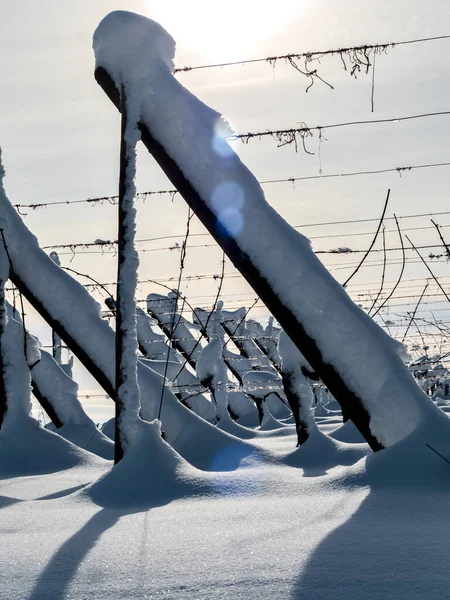 Alsace Vineyards Heavy Snow Sunny Winter Day Details Top View — Stockfoto