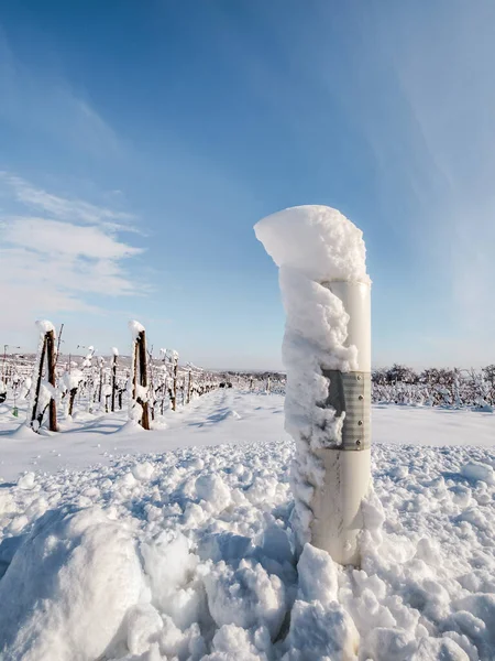 Alsace Vineyards Heavy Snow Sunny Winter Day Details Top View — Stock Photo, Image