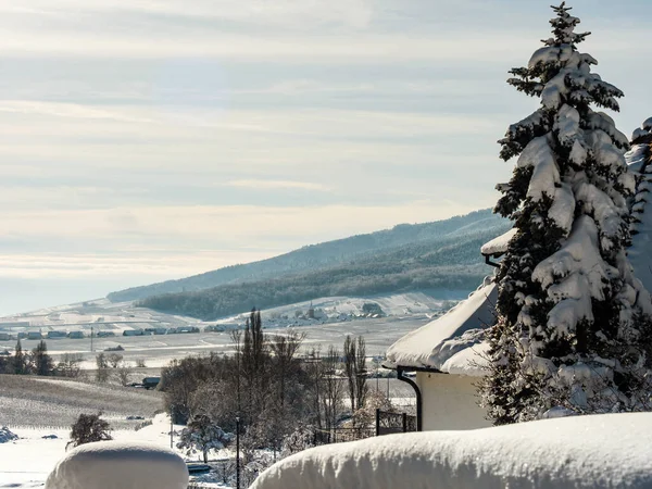 Güneşli Kış Günü Karla Kaplı Evlerin Çatıları Alsace Deki Köy — Stok fotoğraf
