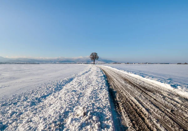 Snöig Väg Fälten Alsace Solig Vinterdag Frankrike — Stockfoto