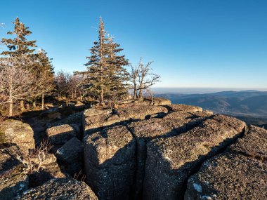 İlk kış soğuğu. Vosges dağlarının tepelerinde ağaçlar kırağı ile kaplıdır. Beyaz kar ve mavi gökyüzü. Dağların siluetlerinin panoramik görüntüsü.