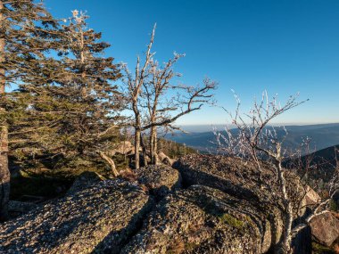 İlk kış soğuğu. Vosges dağlarının tepelerinde ağaçlar kırağı ile kaplıdır. Beyaz kar ve mavi gökyüzü. Dağların siluetlerinin panoramik görüntüsü.