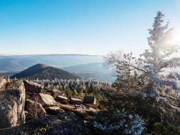 First Winter Cold Tops Vosges Mountains Trees Covered Hoarfrost White — ストック写真