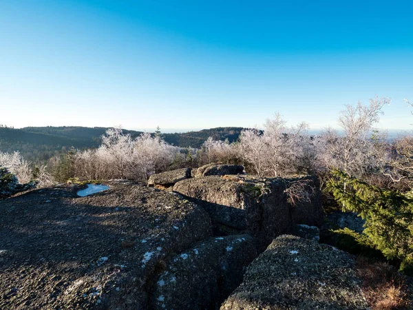 First Winter Cold Tops Vosges Mountains Trees Covered Hoarfrost White — 图库照片