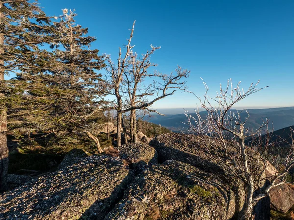 Kış Soğuğu Vosges Dağlarının Tepelerinde Ağaçlar Kırağı Ile Kaplıdır Beyaz — Stok fotoğraf