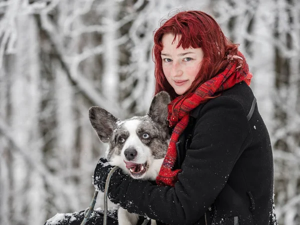 Portret Dziewczyny Śniegu Swoim Zwierzakiem Corgi Zimowa Bajka — Zdjęcie stockowe