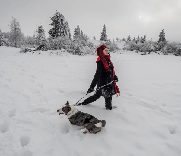 İki kız kardeş, dağlarda karlı bir tarlada Corgi köpeğiyle oynuyorlar. Gençlik, neşe ve tazelik. Yaşamın enerjisi.
