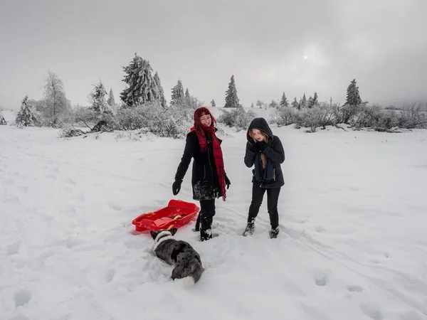 Två Flickor Systrar Leker Med Korv Ett Snöfält Bergen Ungdom — Stockfoto